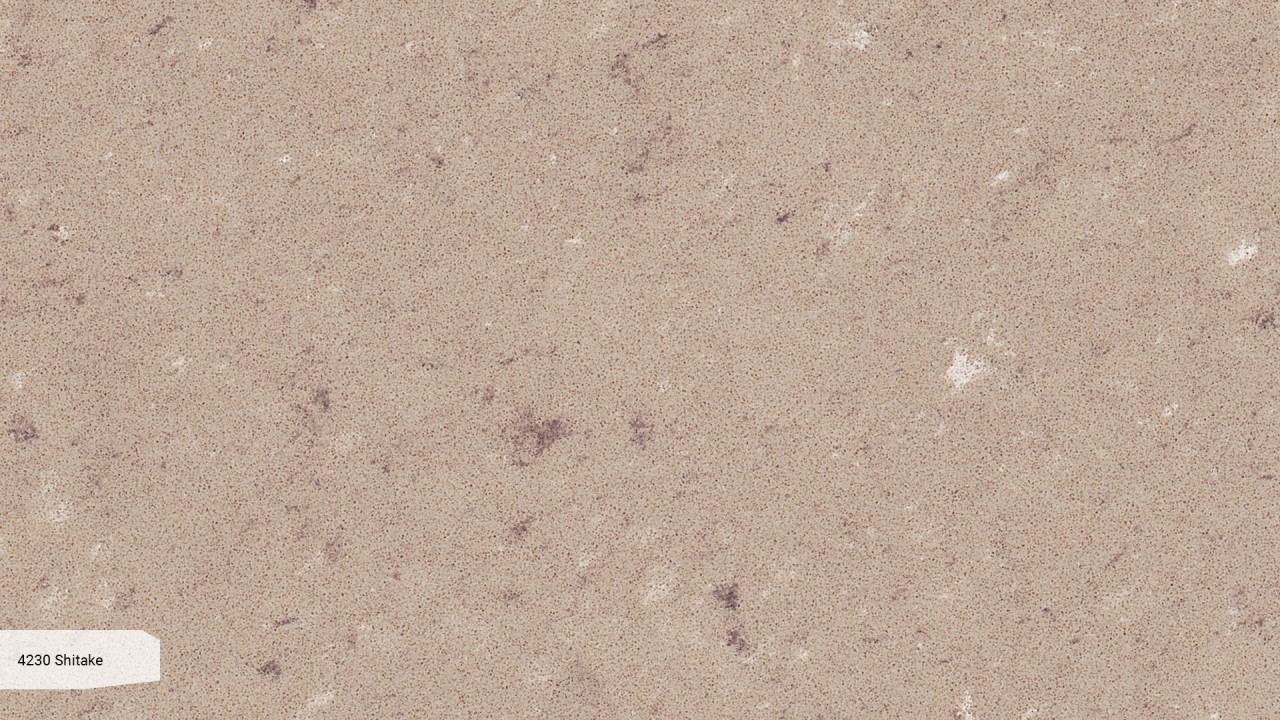 Caesarstone Shitake-img