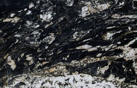 Cosmos Black-img